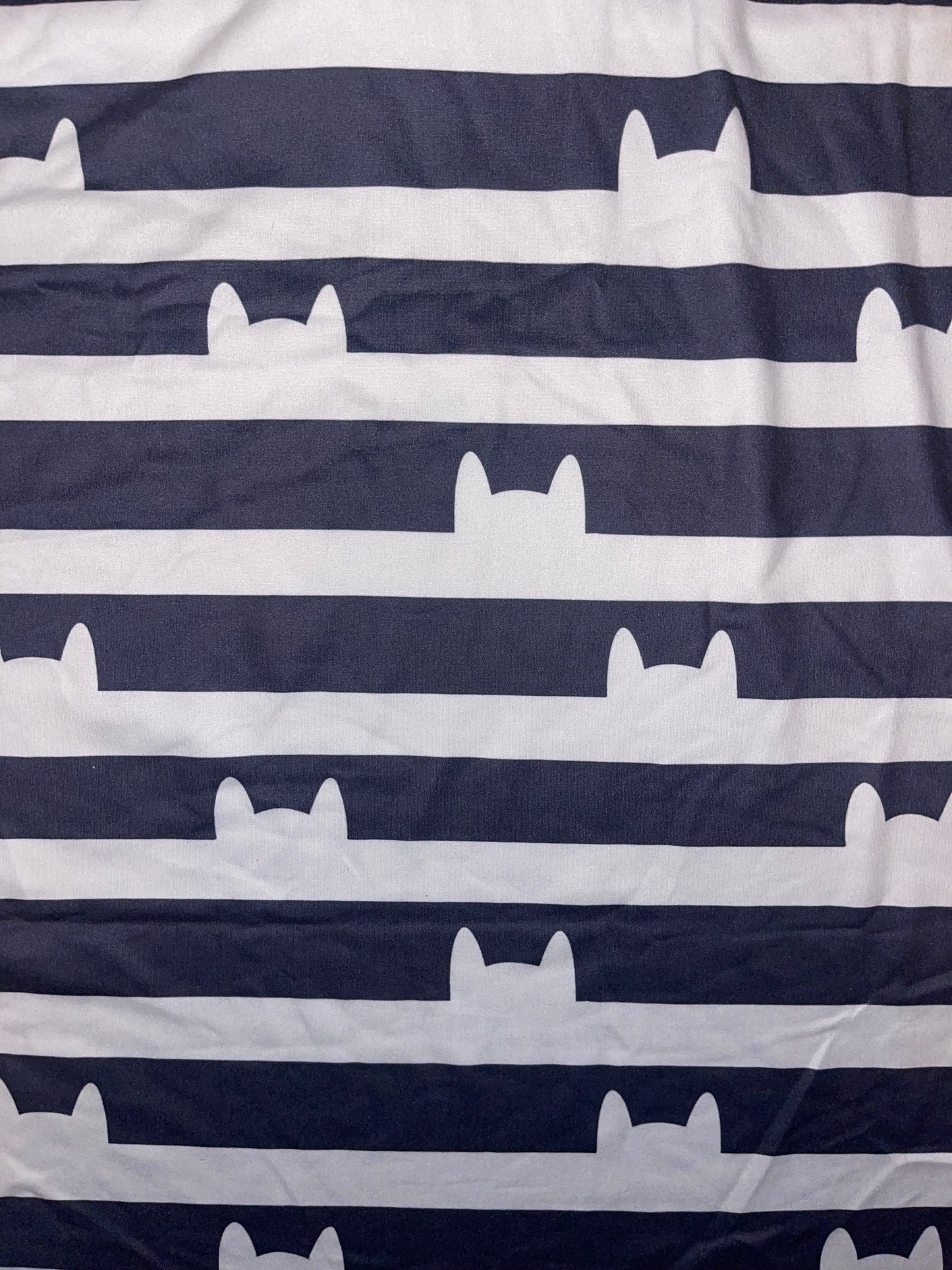 Kitty Stripes
